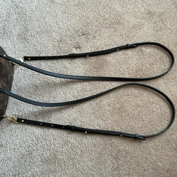 AUTHENTIC Louis Vuitton Palm Springs Mini - Picture 6 of 15